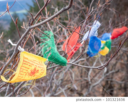 Colorful prayer flags above  German Czech border trek 101321636