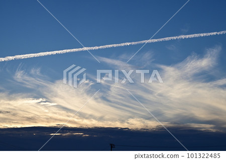 Contrail 101322485