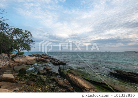 The rock beach 101322930