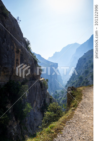 Cares trail - ruta del Cares - in Picos de Europa, Asturias, Spain 101322996