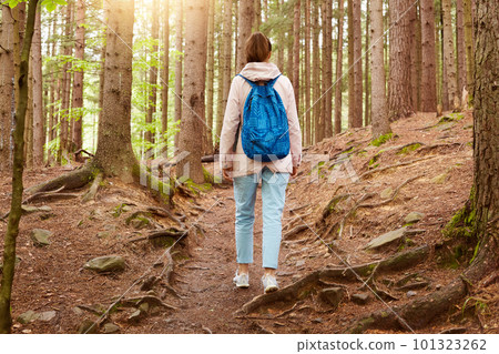 Outdoor shot of girl traveler walking in forest, girl with blue backpack in woods, young lady walks along forest path, woman with bag on her shoulders travels through wild forest. Lifestyle concept. 101323262
