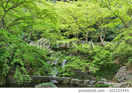 濱松城公園 101323343