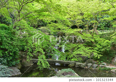 Hamamatsu Castle Park 101323344