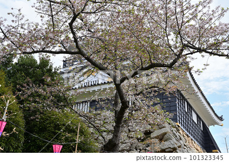 Hamamatsu Castle castle tower 101323345