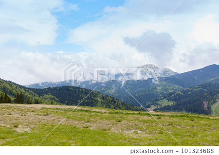 Outdoor pictire of mountain gorgeous landscape, having atmospheric view, perfect place for active leisure time, fresh air, total silence, many evergreen trees around. Nature and conservation concept. 101323688