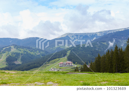 Outdoor shot of enchanting meadow with lot of green and trees, holiday resort around mountains situated at low lands, being popular with tourists, great opportunity to have rest in active way. 101323689
