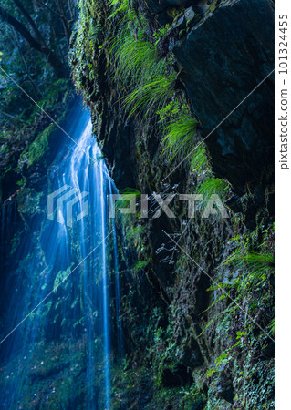 Biwa Falls near Iya Kazura Bridge in Nishiiyayama Village, Miyoshi City, Tokushima Prefecture, Japan Biwa Falls near Iya Kazura Bridge in Nishiiyayama Village, Miyoshi City, Tokushima Prefecture, Japan 101324455