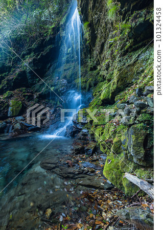 Biwa Falls near Iya Kazura Bridge in Nishiiyayama Village, Miyoshi City, Tokushima Prefecture, Japan Biwa Falls near Iya Kazura Bridge in Nishiiyayama Village, Miyoshi City, Tokushima Prefecture, Japan 101324458