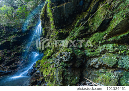 Biwa Falls near Iya Kazura Bridge in Nishiiyayama Village, Miyoshi City, Tokushima Prefecture, Japan 101324461