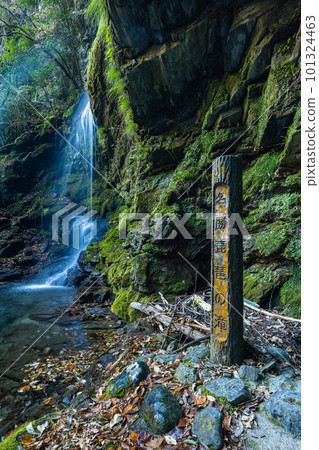 Biwa Falls near Iya Kazura Bridge in Nishiiyayama Village, Miyoshi City, Tokushima Prefecture, Japan 101324463