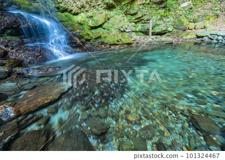 Biwa Falls near Iya Kazura Bridge in Nishiiyayama Village, Miyoshi City, Tokushima Prefecture, Japan 101324467