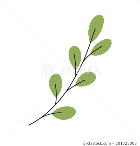 Abstract Twig with Leaves. Element for print, postcard and poster. Vector Hand Draw illustration Abstract Twig with Leaves. Element for print, postcard and poster. Vector Hand Draw illustration 101325008