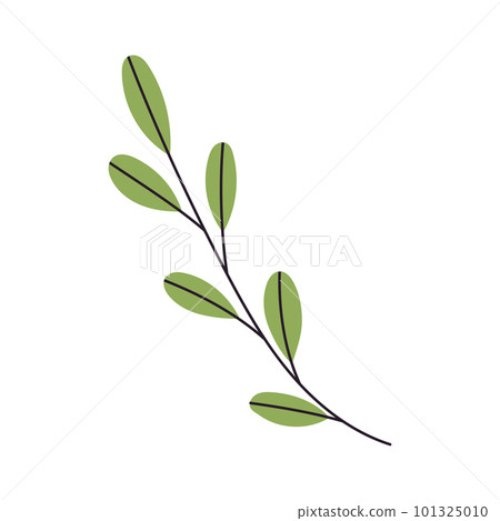 Abstract Twig with Leaves. Element for print, postcard and poster. Vector Hand Draw illustration Abstract Twig with Leaves. Element for print, postcard and poster. Vector Hand Draw illustration 101325010