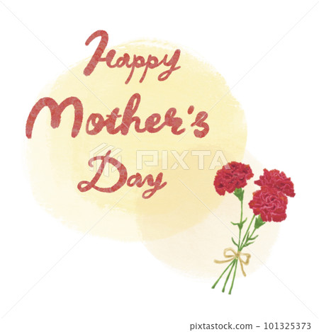 Mother's Day red carnation illustration and message [Happy Mother's Day] yellow background 101325373