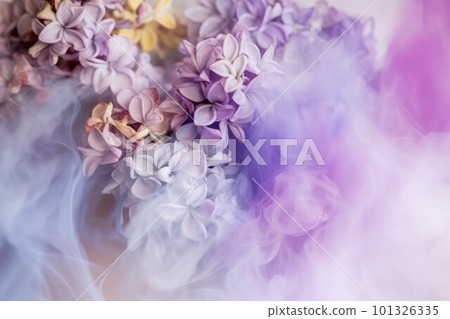 Lilac flower in smoke. Nature blossom. Generate Ai Lilac flower in smoke. Nature blossom. Generate Ai 101326335