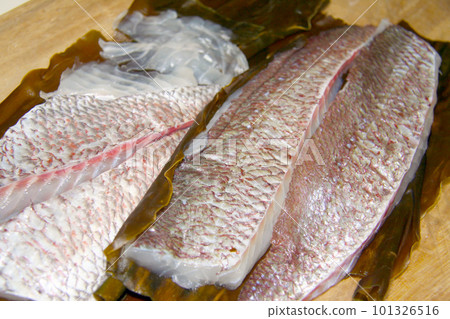 An image of sea bream in the middle of preparing kelp tightening. An image of sea bream in the middle of preparing kelp tightening. 101326516