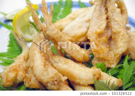 Shirogisu 和 Megochi 天婦羅。 Shirogisu 和 Megochi 天婦羅。 101326522