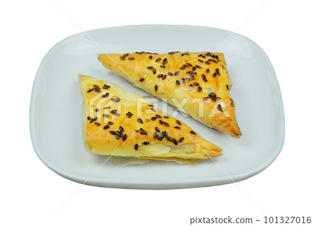 Eastern cuisine. Samosas in a plate on a white background. Home cooking. Fast food. 101327016