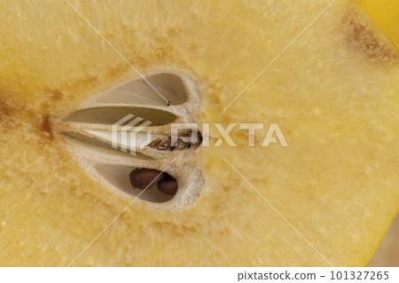 Sliced ripe yellow quince on a cutting board 101327265