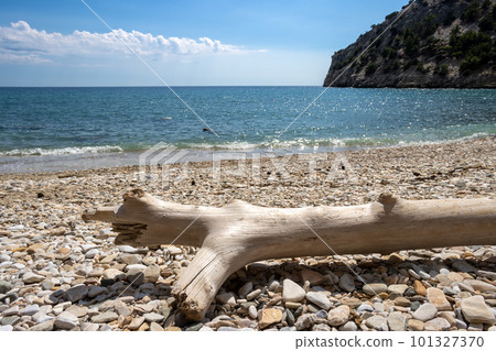 Driftwood on a beach, Greece 101327370