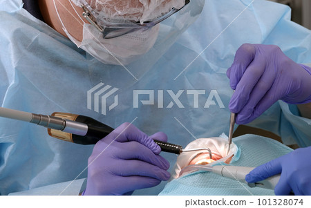 Kiev, Ukraine August 22, 2020: Dentist doctor works with a patient close-up Kiev, Ukraine August 22, 2020: Dentist doctor works with a patient close-up 101328074