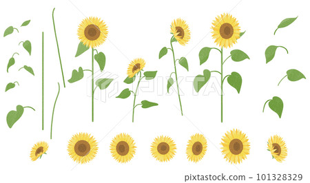 向日葵材料集 101328329