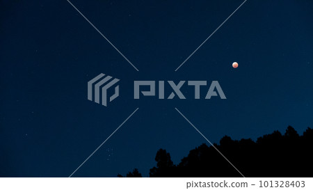 農曆的夜晚 101328403