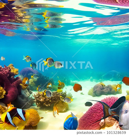 Underwater world in tropical ocean. Underwater world in tropical ocean. 101328639