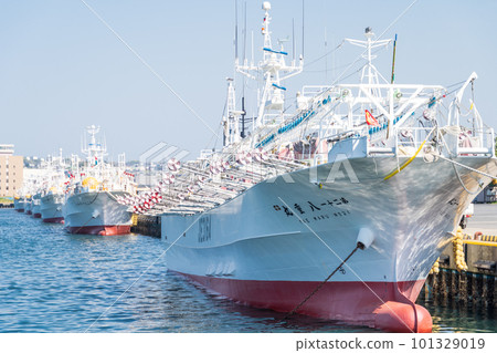停泊在八戶港的“青森縣”魷魚漁船 101329019