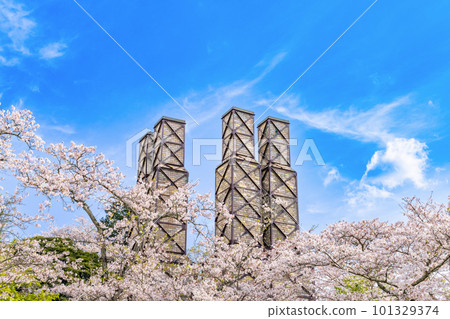 靜岡縣伊豆之國市盛開的櫻花和反射爐 101329374