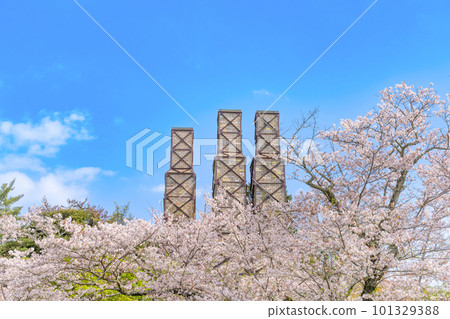 Cherry blossoms in full bloom and a reverberatory furnace in Izunokuni City, Shizuoka Prefecture Cherry blossoms in full bloom and a reverberatory furnace in Izunokuni City, Shizuoka Prefecture 101329388