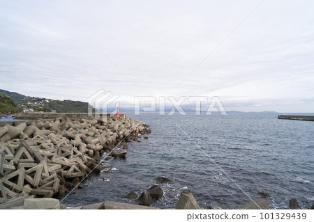 琴濱(真鶴半島) 琴濱(真鶴半島) 101329439