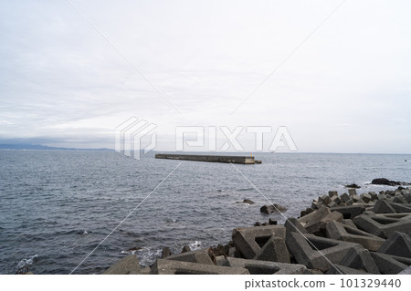 琴濱(真鶴半島) 琴濱(真鶴半島) 101329440