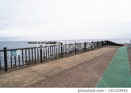 琴濱(真鶴半島) 琴濱(真鶴半島) 101329441