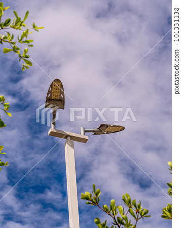 LED street lights on high steel pillars beside the trees LED street lights on high steel pillars beside the trees 101331138