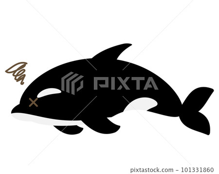 鬆散的虎鯨失敗 101331860