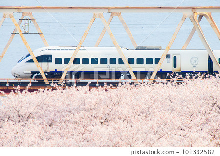 穿越櫻花盛開的大野川的885系特快列車(JR九州) 穿越櫻花盛開的大野川的885系特快列車(JR九州) 101332582