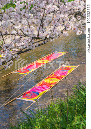 Gojo River in spring, lazy washing <Iwakura City, Aichi Prefecture> 101332833