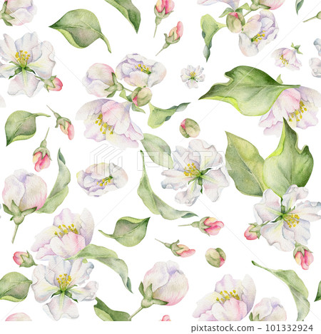 Hand drawn watercolor apple blossom, white and red flowers and green leaves. Seamless pattern. Isolated object on white background. Design for wall art, wedding, print, fabric, cover, card. 101332924