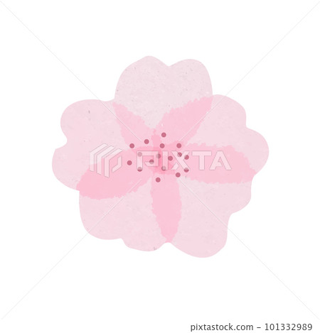 Isolated beautiful tender watercolor sakura flower with light pink transparent petals Isolated beautiful tender watercolor sakura flower with light pink transparent petals 101332989