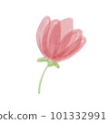 Hand drawn isolated beautiful tender watercolor pink flower 101332991