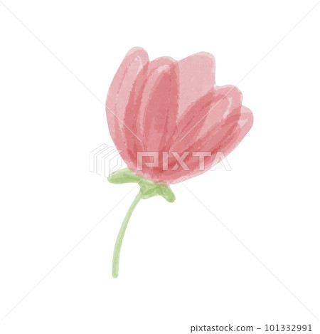 Hand drawn isolated beautiful tender watercolor pink flower Hand drawn isolated beautiful tender watercolor pink flower 101332991