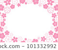 Horizontal frame with flat pink geometrical sakura flowers on white background 101332992