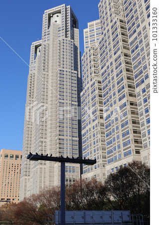 Tokyo Metropolitan Government Building and rows of pigeons 101333160