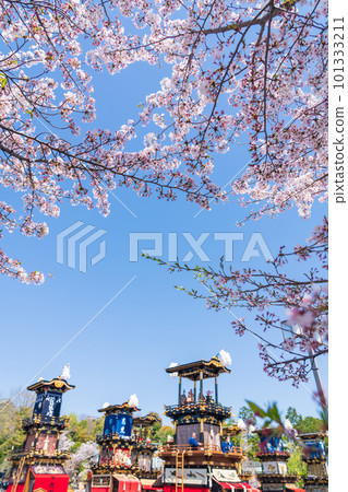 Inuyama Festival, cherry blossoms in full bloom and Mt. Kuruma <Inuyama City, Aichi Prefecture> Inuyama Festival, cherry blossoms in full bloom and Mt. Kuruma <Inuyama City, Aichi Prefecture> 101333211