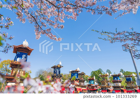 Inuyama Festival, cherry blossoms in full bloom and Mt. Kuruma <Inuyama City, Aichi Prefecture> Inuyama Festival, cherry blossoms in full bloom and Mt. Kuruma <Inuyama City, Aichi Prefecture> 101333269