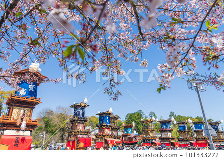 Inuyama Festival, cherry blossoms in full bloom and Mt. Kuruma <Inuyama City, Aichi Prefecture> Inuyama Festival, cherry blossoms in full bloom and Mt. Kuruma <Inuyama City, Aichi Prefecture> 101333272