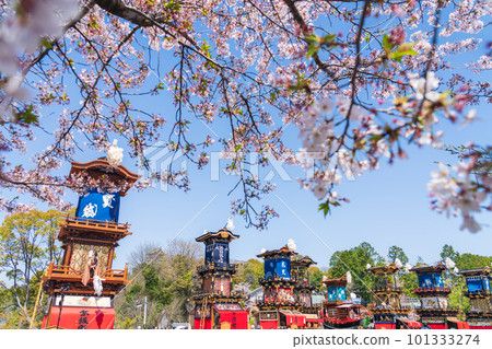 Inuyama Festival, cherry blossoms in full bloom and Mt. Kuruma <Inuyama City, Aichi Prefecture> Inuyama Festival, cherry blossoms in full bloom and Mt. Kuruma <Inuyama City, Aichi Prefecture> 101333274