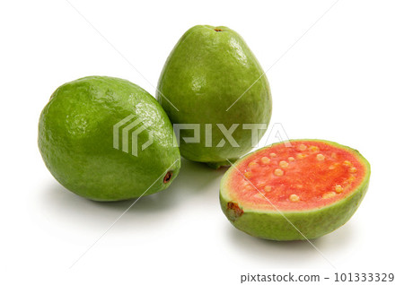 Guava, a tropical fruit from the southern country 101333329