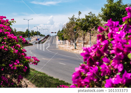 Curving road, asphalt, sun day summer bright with purple flowers 101333373